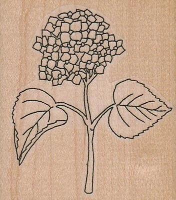 Hydrangea 2 1/2 x 2 3/4" Rubber Stamp, Plants Stamp, Flowers, Trees Hydrangea