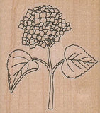 Hydrangea 2 1/2 x 2 3/4" Rubber Stamp, Plants Stamp, Flowers, Trees Hydrangea