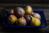 100+ Hardy Chicago Fig Seeds for Garden Planting - USA - FREE SHIPPING! Garden Plants