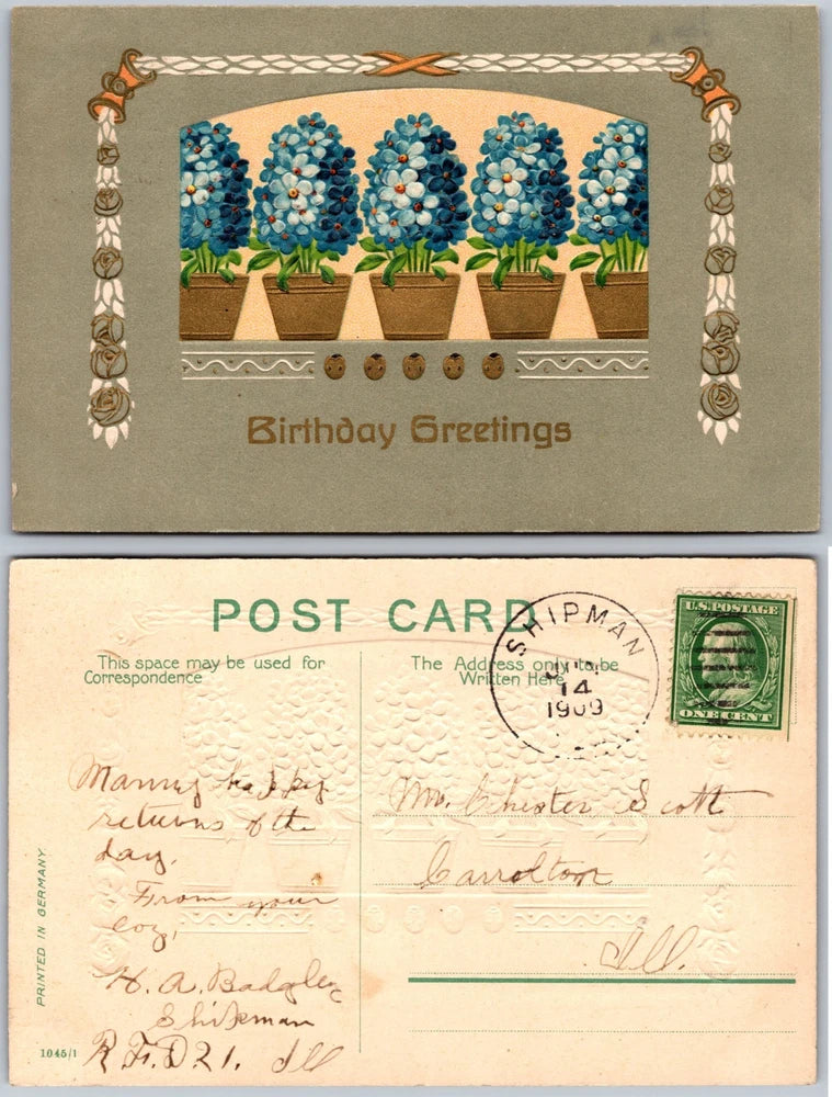 Birthday Greetings Blue Hydrangea Potted Flowers Postcard Hydrangea