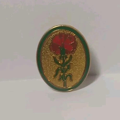 Oval enamel lapel pin with red carnation flower and green leaves, gold backing