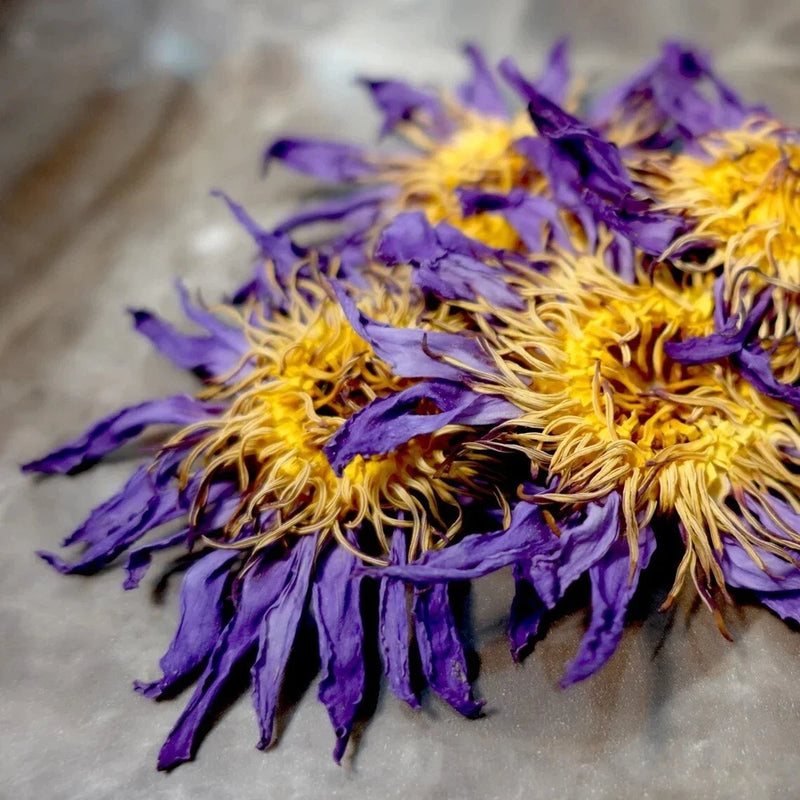 Dried blue lotus flower cluster with purple petals and yellow stamens