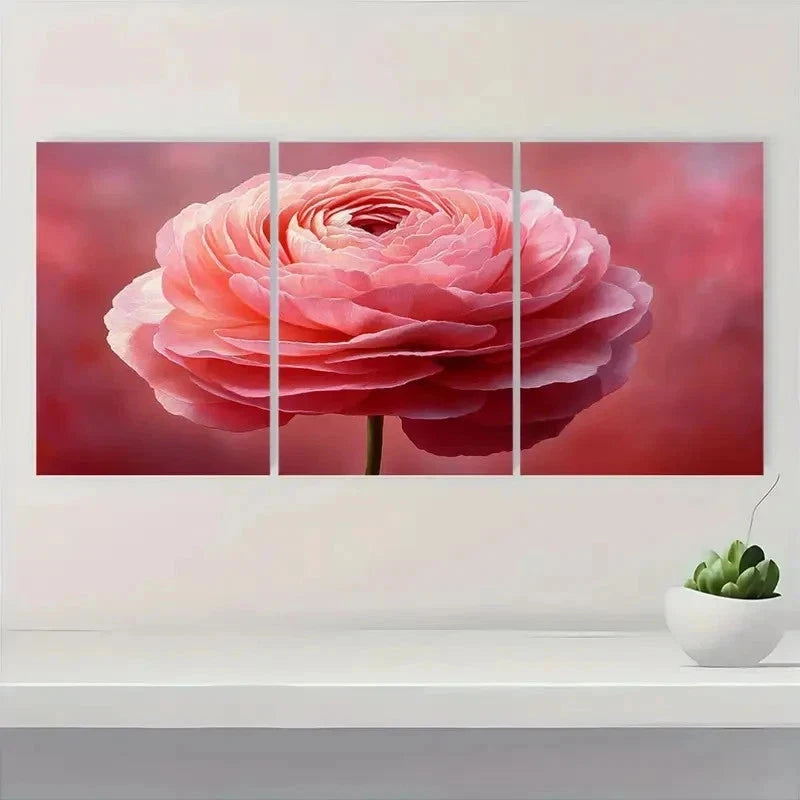 3pcs Pink Ranunculus Soft Pastel Flower Perfect Wall Art Canvas Framed 50x70cm Ranunculus