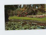 Postcard Enchanting Garden of Lily Ponds & Colorful Flowers Lily