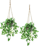 Hanging Plant Fake Plants with Pots, 2 Pack Artificial Plants, Faux Anthurium Le Green Plant