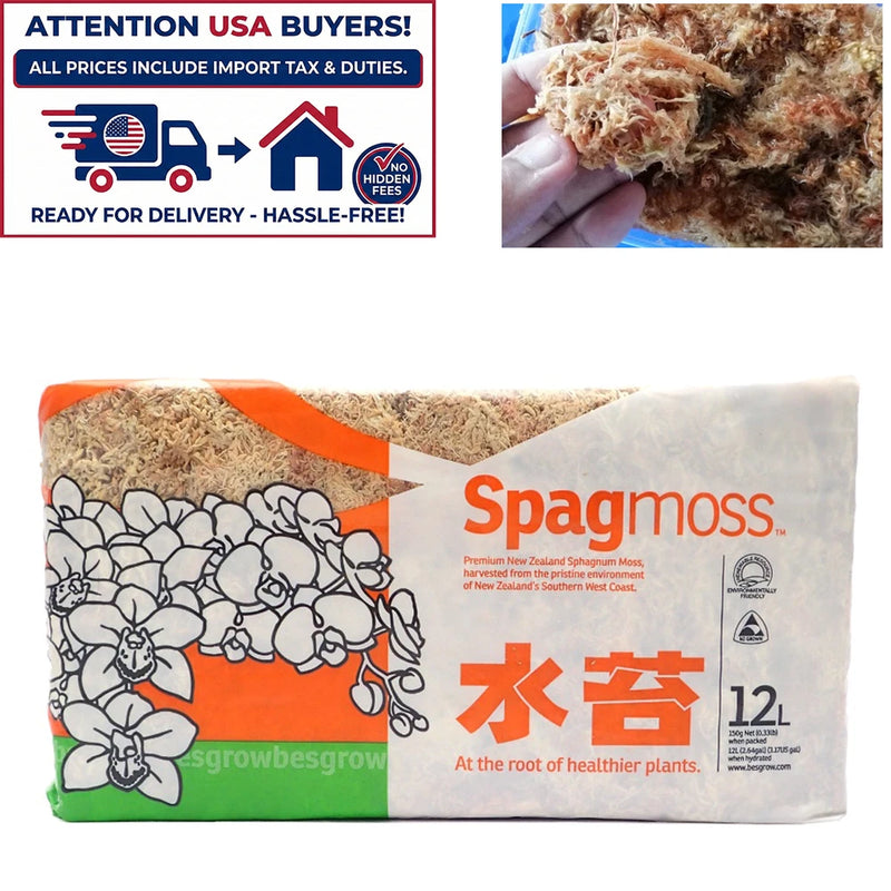 Spagmoss Sphagnum Moss Plant Orchid Cactus Water Holding Besgrow 150G (12L) Flowering Plants