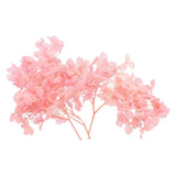 10g Mini Dried Hydrangea Flower Natural Pressed Flower Real Hydrangeas Pink Dried Flower