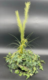 Decorative Artificial Ivy Grass Lilly Plants Base Tabletop Planter 21"x16"x14" Green Plant