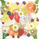 59Pcs Dried Pressed Fruits Resin Mould Real Pressed Vegetables Flowers Natural Dried Flower