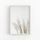 Pampas Grass Botanical Wall Art Poster Premium Quality Choose your Size Pampas Grass