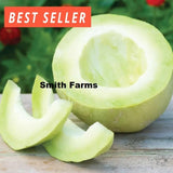 10+ Seeds Bodacious Melon Easy to Grow Vegetable Garden Planting Edible Garden Plants