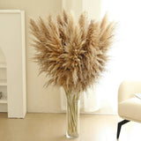 12 Stems 46 inch Tall Pampas Grass Decor - Large Fluffy Dried Pompas Grass fo... Pampas Grass