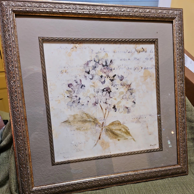 Cheri Blum Floral Hydrangea Print 18Ó X 18Ó Wall Decor Framed Artwork Hydrangea