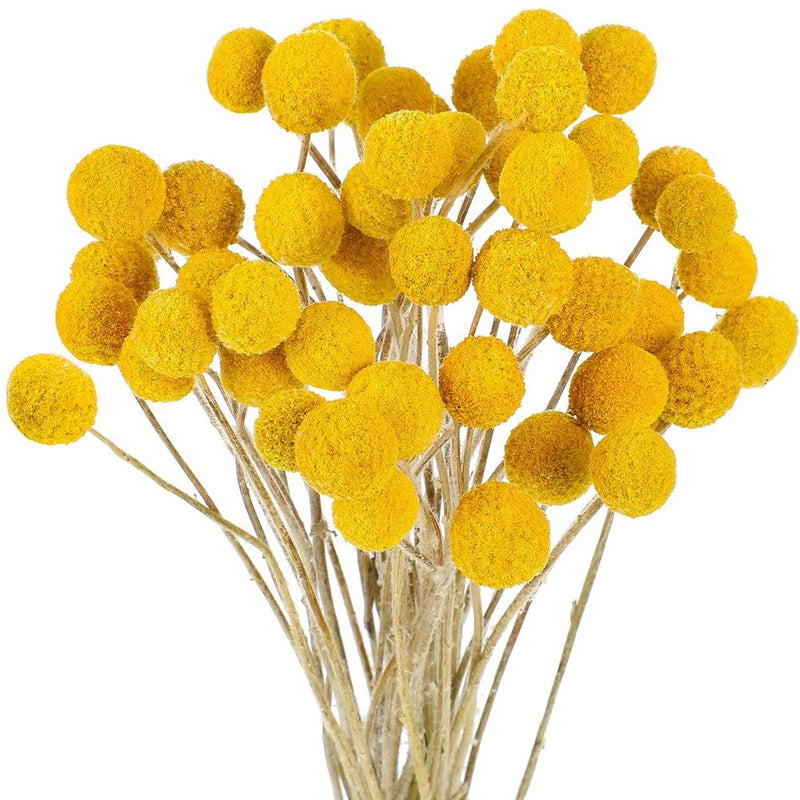 48 Pcs Dried Flowers Button Yellow Dried Flowers Fake Silk Dried Flower R7B1 Dried Flower