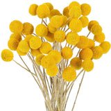 48 Pcs Dried Flowers Button Yellow Dried Flowers Fake Silk Dried Flower R7B1 Dried Flower