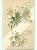 Pre-1907 BEAUTIFUL EASTER LILY FLOWERS : make an offer J1929 Lily