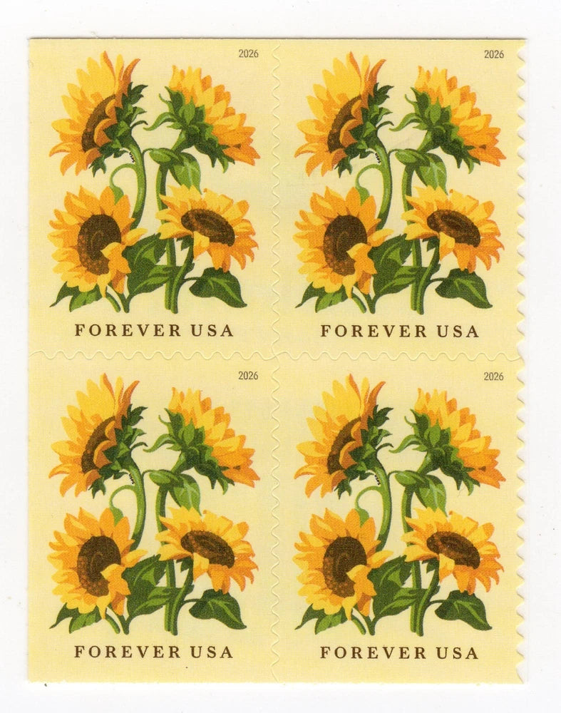 Sunflower Forever USA stamp pane of 4, MNH, yellow blooms with green stems