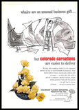 1966 Colorado Carnations Vintage PRINT AD Flowers Business Gift Floral Carnation