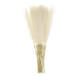 20pcs Dried Faux Pampas Grass 21" Artificial Pampas Grass Decor Maize-yellow Pampas Grass
