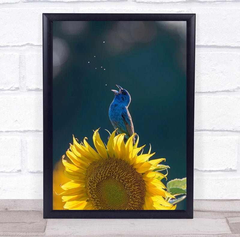 Framed wall art print with blue bird perched above a bright yellow sunflower