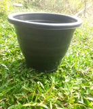 Ornamental Plant Flower Garden 01 Pot Nursery Seedlings Growing Containers free Garden Plants