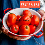 50+ Seeds Big Mama Tomato Hybrid Juicy Easy to Grow Vegetable Garden Planting Garden Plants