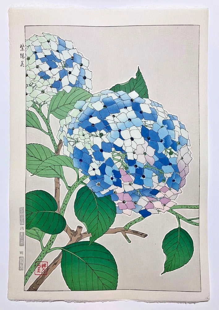 Kawarazaki Shodo Woodblock Print ÒHydrangeaÓ Kyoto Unsodo Flower Prints Hydrangea