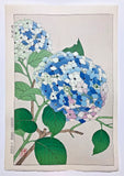 Kawarazaki Shodo Woodblock Print ÒHydrangeaÓ Kyoto Unsodo Flower Prints Hydrangea