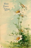 C. Klein, Daisies, MANY HAPPY RETURNS, Flower studies, Tuck 1310 Daisies