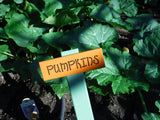 Wood Garden Sign Plant Labels Garden Plants