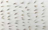 63 pc natural pressed grass for greeting cards mixed art/crafts candles resin US Dried Flower