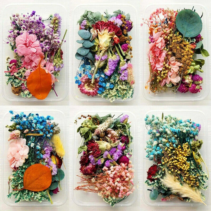 Dried flower mix assortment for resin crafts in clear plastic tray