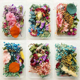 1Box Real Dried Flowers For Art Craft Epoxy DIY Resin Pendant Jewellery Making Dried Flower