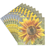3dRose CST_32600_4 Beauty of a Sunflower Floral Art Flowers Designs Inspired ... Sunflower