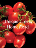 ROMA Tomato 10-Seeds Organically Grown Unique Creek Homestead Gardens Garden Plants