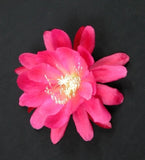 Epiphyllum, Orchid Cactus, JUNGA , Don's Quart pots APRIL/1 Orchids
