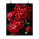 Red Peony Flowers Poster, Red Flower Art Print, Floral Artwork 22 Peony
