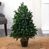 3Õ Bay Leaf Artificial Topiary Tree Home Decor UV (Indoor/Outdoor). Retail $153 Green Plant