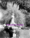 IRENE DUNNE 8X10 Lab Photo 1930s Stunning "SHERMAN CLARK" Pampas Grass Portrait Pampas Grass