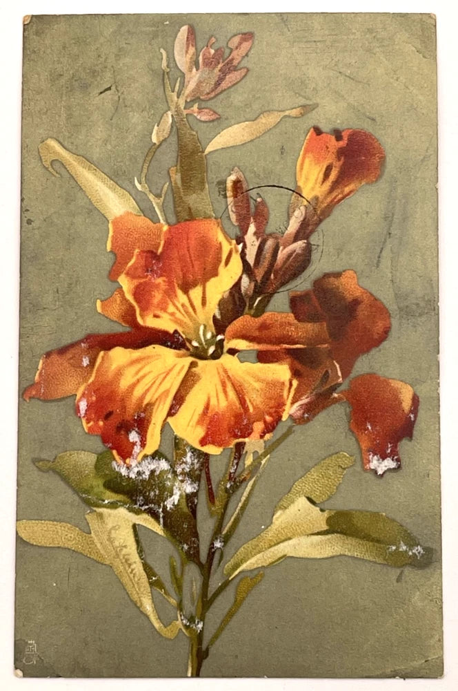 Tuck's Postcard Orange Lily Flower Embossed Raphael Tuck & Sons Floral Lily