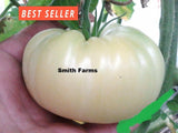 50+ Seeds Taylor Lacey Leaf Tomato Easy Vegetable Garden Planting Edible Garden Plants