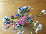 Cutting Flowers Bouquet Mix Seeds 100 Carnation