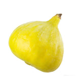 100+ Desert King Fig Seeds for Garden Planting - USA - FREE SHIPPING! Garden Plants