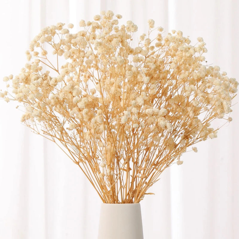 Ivory white dried baby's breath flower bouquet in white vase