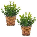2 Pack Small Fake Plants Eucalyptus Potted Artificial Plant for Table,Bathroo... Green Plant