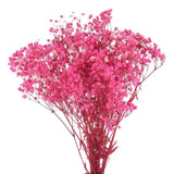 Dried Baby's Breath Flowers Bouquet 17 Inch 5000+ Dry Gypsophila Pink Decor Dried Flower