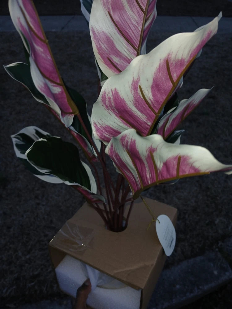 Artificial calathea bush with pink, white, and green striped leaves, in cardboard base