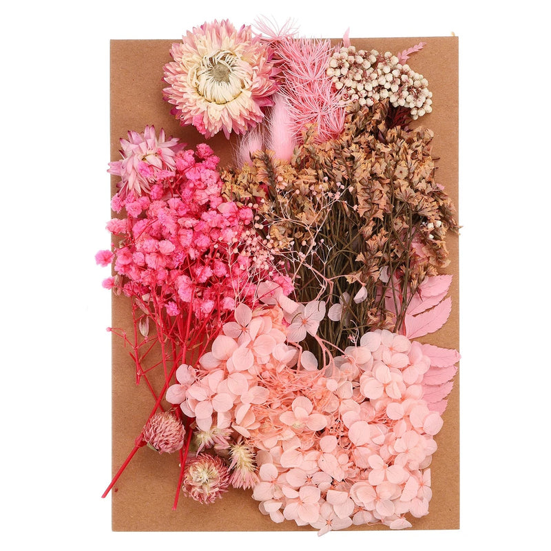 Pressed Flowers Bulk Dried Flowers Natural Pressed Flowers Leaves Pink Series Dried Flower