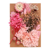 Pressed Flowers Bulk Dried Flowers Natural Pressed Flowers Leaves Pink Series Dried Flower
