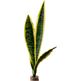Fake Snake Plant Artificial with PVC Leaves for Home Photo Shoot Decor Green Plant